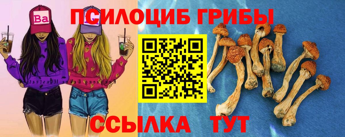 Псилоцибиновые грибы MAGIC MUSHROOMS  Вход с VPN  наркотики  Лосино-Петровский 